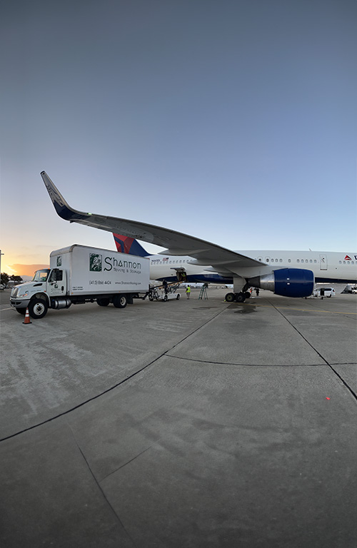768px_006.jpg